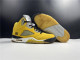 Air Jordan 5 Tokyo 454783-701