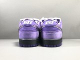  Purple Concepts x SB Dunk Low