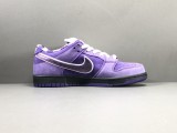  Purple Concepts x SB Dunk Low