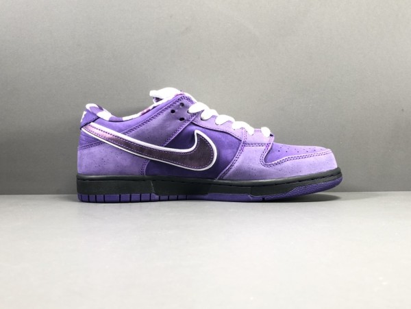  Purple Concepts x SB Dunk Low