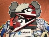 Air Jordan 1 Black Toe