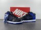 DUNK HI RETRO SE
