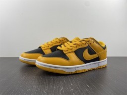 Dunk Low Goldenrod  DD1391-004