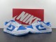 Dunk Low “Reverse UNC”