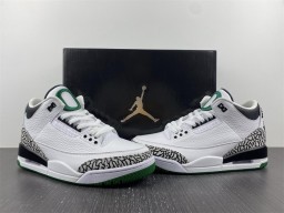 Air Jordan 3 retro oregon pitcrew Duck