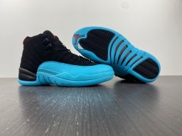 Air Jordan 12  Gamma Blue