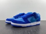 SB Dunk Low Pro