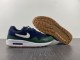 Air Max 1 DV3887-400