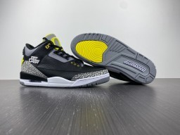 DS NIB Air Jordan 3 Retro Oregon Duck 