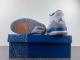 Air Jordan 3 “Wizards”