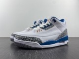 Air Jordan 3 “Wizards”