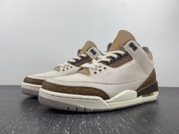 Air Jordan 3 “Palomino”