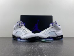 Air Jordan5 CONCORD