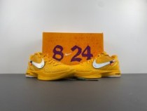 Kobe 6 Protro 