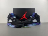 Air Jordan 5 Retro 'Black Grape‘