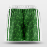 Celtics - Customized Training Shorts NBK109