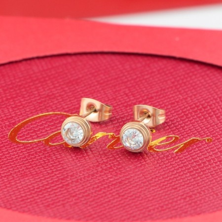 BK17E Popular   Earrings
