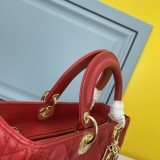 B1X43D54 Popular   leather bag  (32CM)