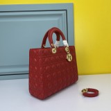 B1X43D54 Popular   leather bag  (32CM)