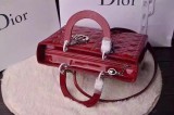 B1X43D55 Popular  leather bag (32cm)