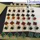 1XVA188E Popular   Earrings