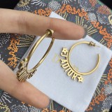 1YD241E Popular  Earrings