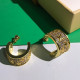 1YE351E Popular  Earrings