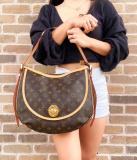 B12X113E237 Popular  leather bag 