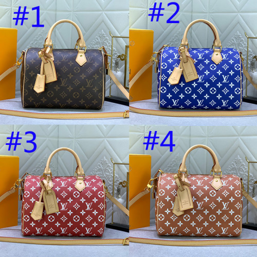 B12X44E268 Popular  leather bag 
