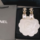 14C341E Popular  Earrings