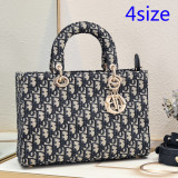 B1X54D439 Popular   embroidery bag