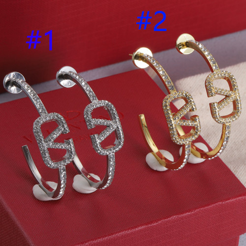 14VL348E Popular  Earrings