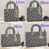 B1X54D439 Popular   embroidery bag