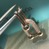 14T431E Popular  Earrings