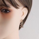 14C493E Popular  Earrings