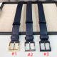 14PD30P  Popular     High quality belt With full package