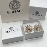 14V538E Popular  Earrings