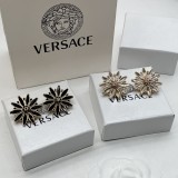 14V538E Popular  Earrings