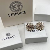14V538E Popular  Earrings
