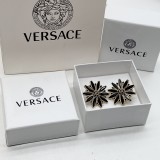 14V538E Popular  Earrings