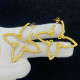 14E625E Popular  Earrings