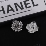 14C1080E Popular Earrings