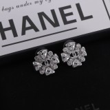 14C1080E Popular Earrings