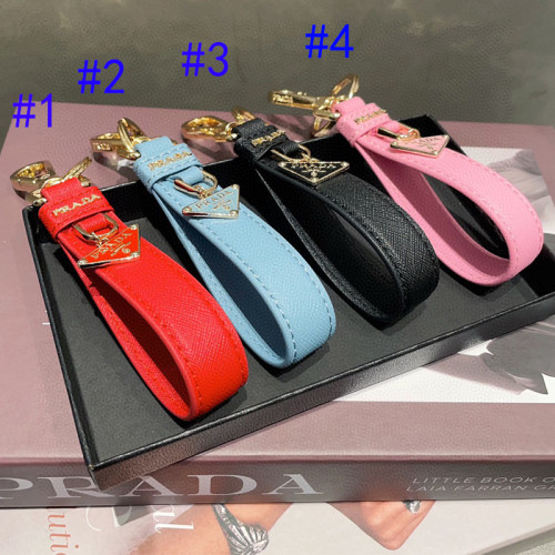 14PD55A  Stylish key closure