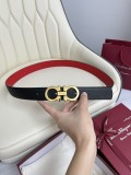 P1W15K175 Popular  High quality belt With full package