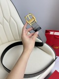 P1W15K173 Popular High quality belt With full package