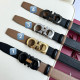 P1W15A169 Popular   High quality belt With full package