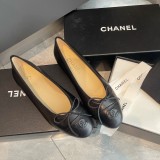Z1ZC244 Popular Casual shoes