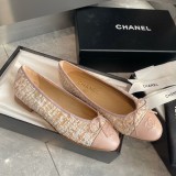 Z1ZC243 Popular Casual shoes