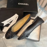 Z1ZC244 Popular Casual shoes